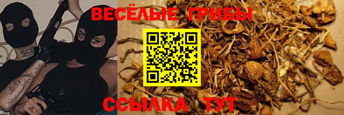 МЕФ кристаллы  МДМА  Вход с VPN  Медногорск  МАРИХУАНА  Гашиш 