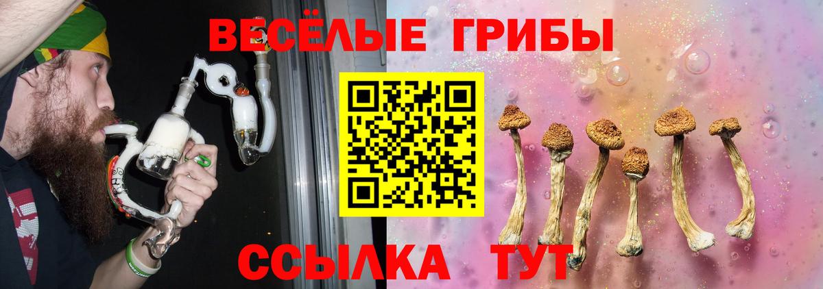 Псилоцибиновые грибы MAGIC MUSHROOMS  Вход с VPN  Галлюциногенные грибы мухоморы  Медногорск 