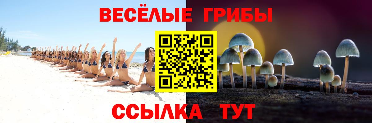 Псилоцибиновые грибы прущие грибы Медногорск